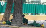 Người lao động Hà Nội vất vả mưu sinh trong nắng lửa đầu hè